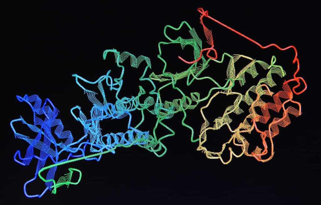 protein-molecule